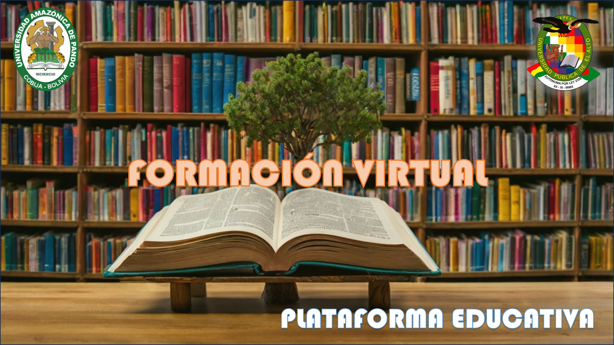 Plataforma virtual